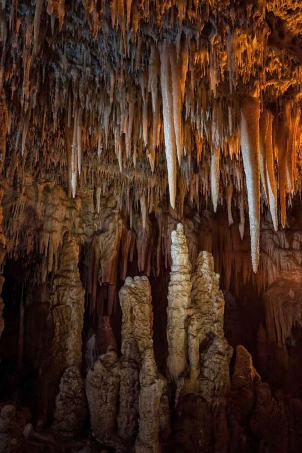 La Casetta Di Erasmina Castellana Grotte Exteriör bild